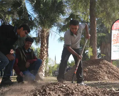 Bosque Venustiano Carranza en Torreón remplaza árboles viejos por 100 más