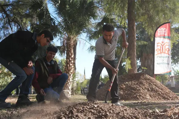 Bosque Venustiano Carranza en Torreón remplaza árboles viejos por 100 más Bosque Venustiano Carranza en Torreón remplaza árboles viejos por 100 más