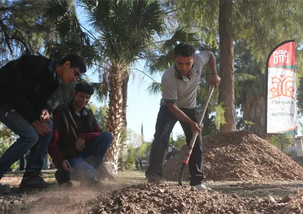 Bosque Venustiano Carranza en Torreón remplaza árboles viejos por 100 más