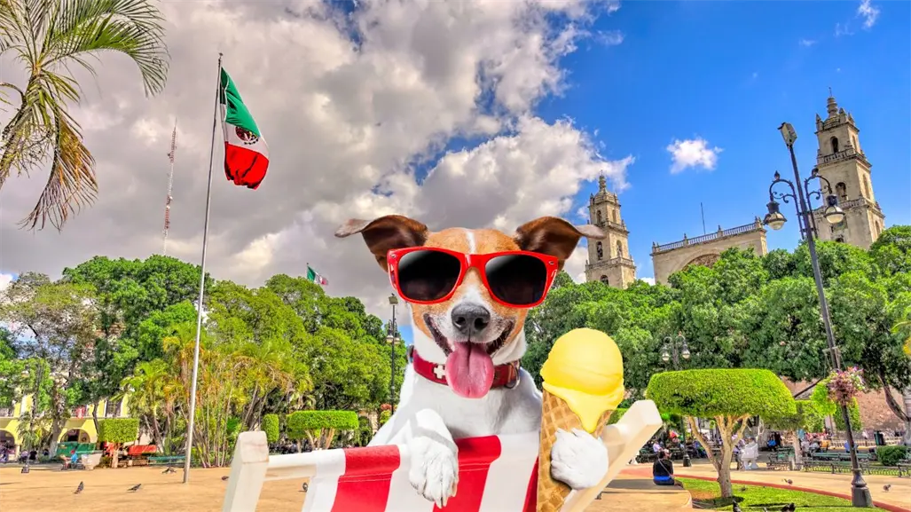 Aumentan las temperaturas en Yucatán por anticiclón y se aproxima un frente frío este fin de semana