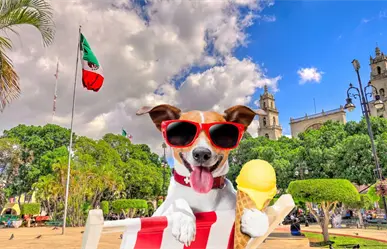 Aumentan las temperaturas en Yucatán por anticiclón y se aproxima un frente frío este fin de semana