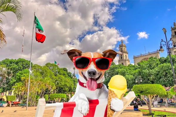 Aumentan las temperaturas en Yucatán por anticiclón y se aproxima un frente frío este fin de semana Aumentan las temperaturas en Yucatán por anticiclón y se aproxima un frente frío este fin de semana