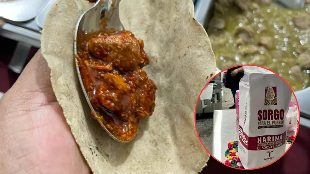 Tamaulipas busca transformar el sorgo en harina nixtamalizada; ¿cuáles son las ventajas?