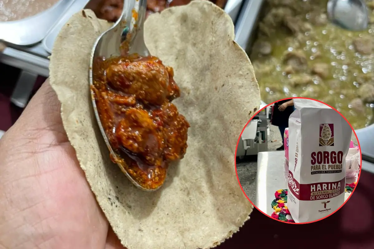 La nixtamalización de sorgo, el nuevo horizonte para productores de Tamaulipas