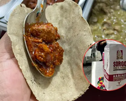 Tamaulipas busca transformar el sorgo en harina nixtamalizada; ¿cuáles son las ventajas?