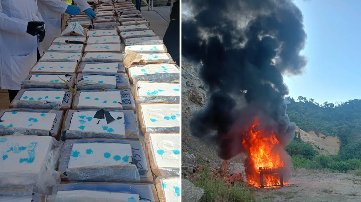 FGR destruye cargamentos de droga en Guerrero y Baja California. Foto: X (@FGRMexico)