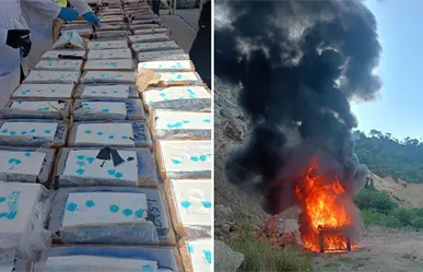 FGR destruye cargamentos de droga en Guerrero y Baja California