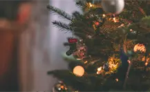 Expo Navidad Forestal 2025: todo lo que necesitas para decorar tu hogar esta temporada Expo Navidad Forestal 2025: todo lo que necesitas para decorar tu hogar esta temporada