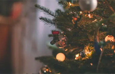 Expo Navidad Forestal 2025: todo lo que necesitas para decorar tu hogar esta temporada