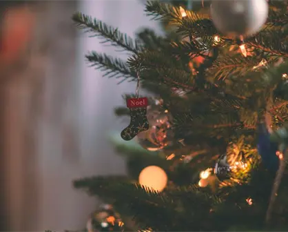 Expo Navidad Forestal 2025: todo lo que necesitas para decorar tu hogar esta temporada