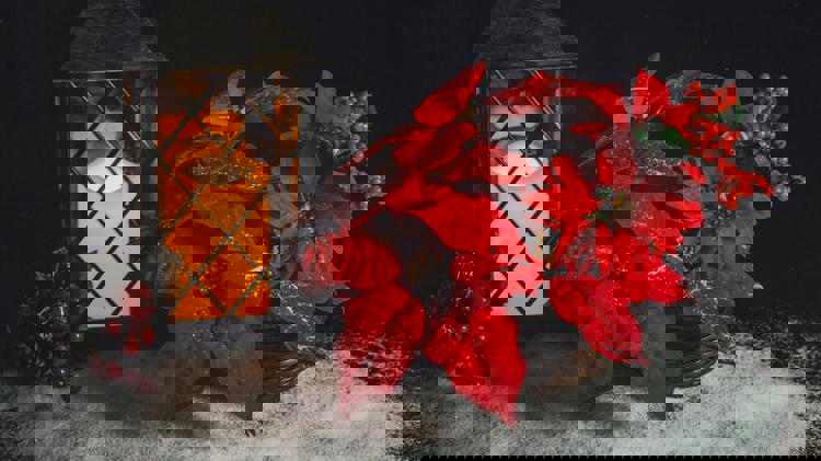 imagen-cuerpo imagen-cuerpo