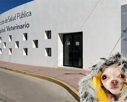 ¿Cómo proteger a tu mascota del frío en Durango?