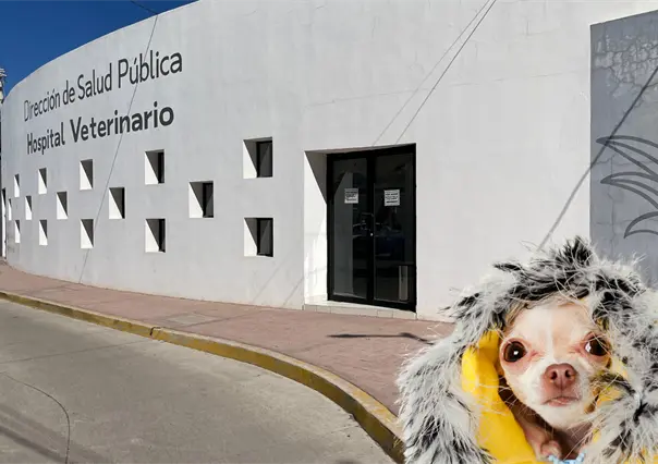 &iquest;C&oacute;mo proteger a tu mascota del fr&iacute;o en Durango?