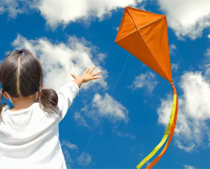 Entre tradición y diversión, se vivirá el Primer Festival del Papagayo en Kanasín: fecha, sede y cómo participar