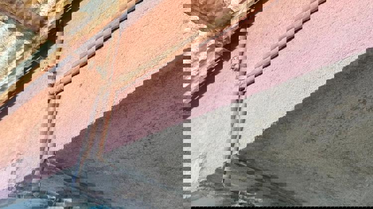 imagen-cuerpo imagen-cuerpo