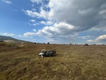 imagen-cuerpo imagen-cuerpo