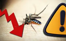 Coahuila controla casos de dengue, Ssecretaria de Salud insta a no bajar la guardia Coahuila controla casos de dengue, Ssecretaria de Salud insta a no bajar la guardia