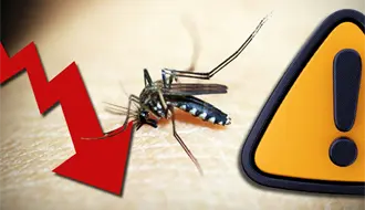 Coahuila controla casos de dengue, Ssecretaria de Salud insta a no bajar la guardia