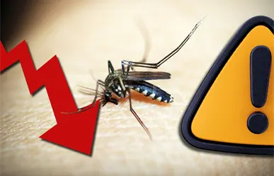 Coahuila controla casos de dengue, Ssecretaria de Salud insta a no bajar la guardia