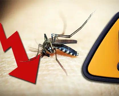 Coahuila controla casos de dengue, Ssecretaria de Salud insta a no bajar la guardia