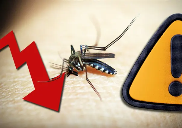 Coahuila controla casos de dengue, Ssecretaria de Salud insta a no bajar la guardia