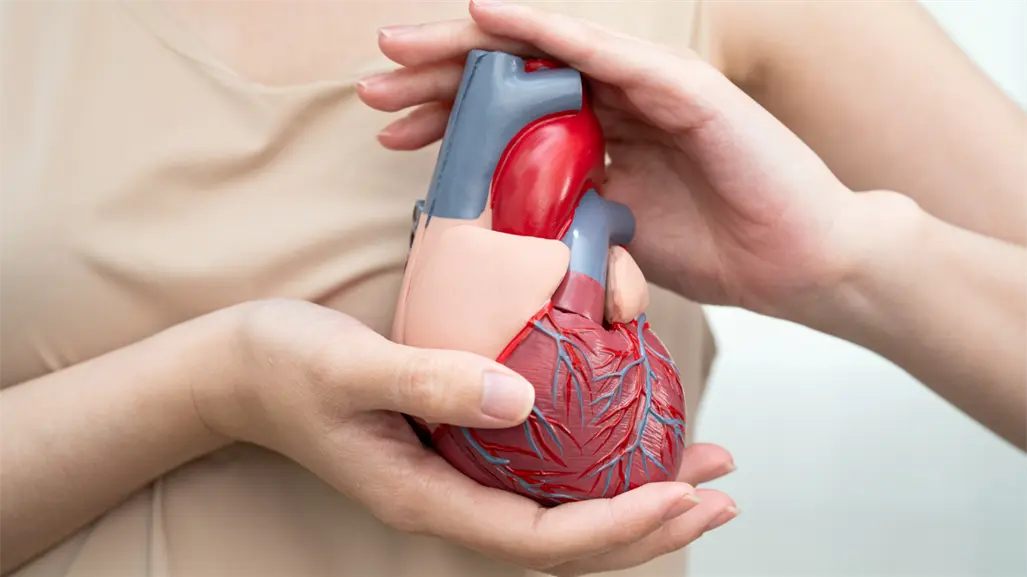 Edomex registra a las enfermedades del corazón como mayor causa de muerte según cifras del INEGI