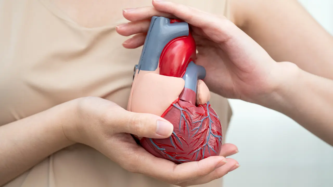 Las enfermedades del corazón encabezan las principales causas de muerte en el Estado de México, de acuerdo con las cifras más recientes del INEGI. Foto: Canva