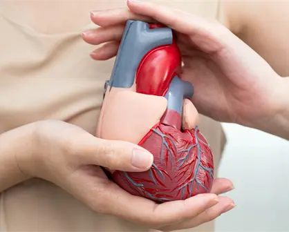 Edomex registra a las enfermedades del corazón como mayor causa de muerte según cifras del INEGI