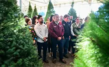 Expo Navidad Forestal 2025 llega al Edomex con árboles naturales, piñatas y artesanías locales Expo Navidad Forestal 2025 llega al Edomex con árboles naturales, piñatas y artesanías locales