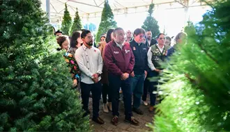 Expo Navidad Forestal 2025 llega al Edomex con árboles naturales, piñatas y artesanías locales