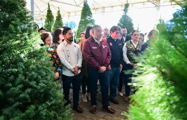 Expo Navidad Forestal 2025 llega al Edomex con árboles naturales, piñatas y artesanías locales