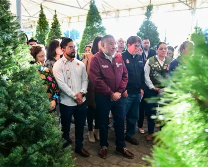 Expo Navidad Forestal 2025 llega al Edomex con árboles naturales, piñatas y artesanías locales
