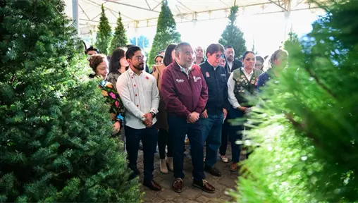 Expo Navidad Forestal 2025 llega al Edomex con árboles naturales, piñatas y artesanías locales Expo Navidad Forestal 2025 llega al Edomex con árboles naturales, piñatas y artesanías locales