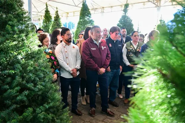 Expo Navidad Forestal 2025 llega al Edomex con árboles naturales, piñatas y artesanías locales Expo Navidad Forestal 2025 llega al Edomex con árboles naturales, piñatas y artesanías locales