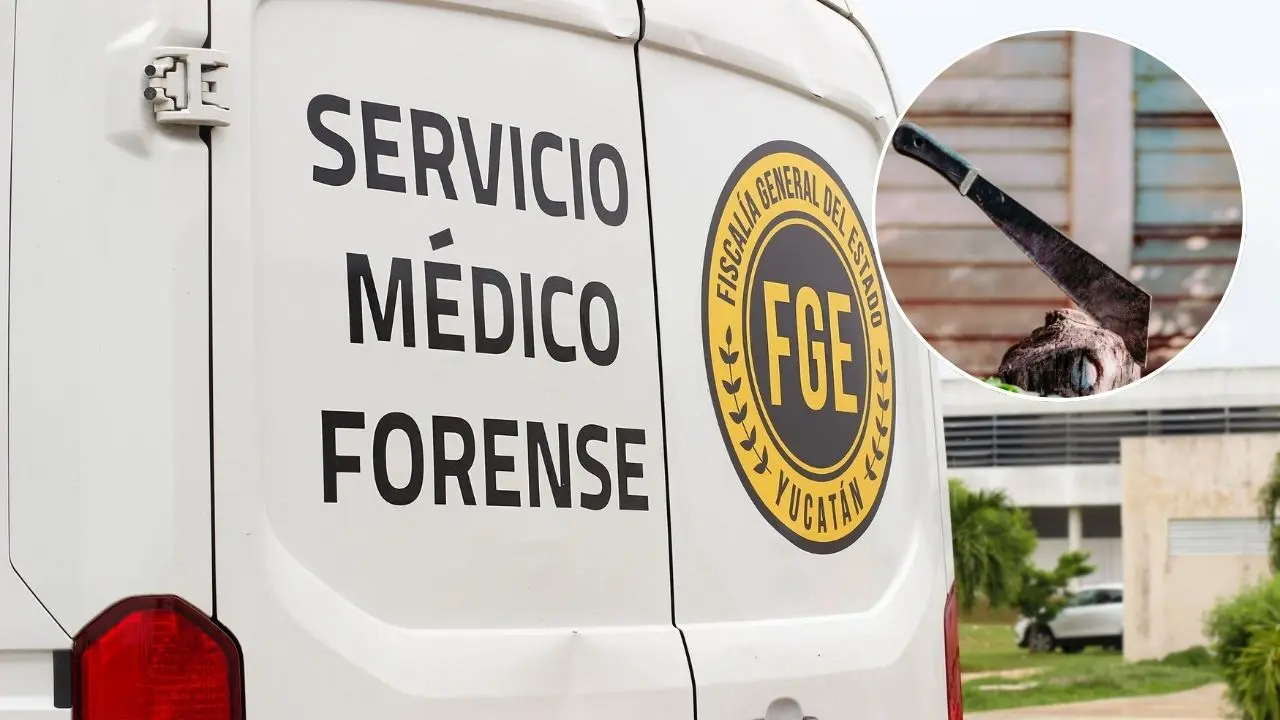 Autoridades y servicios de emergencia llegaron al lugar de la riña Foto: Canva | Redes sociales