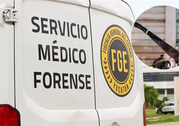 Riña termina en homicidio en Kanasín: un enfrentamiento con machetes deja un muerto en Mulchechén II