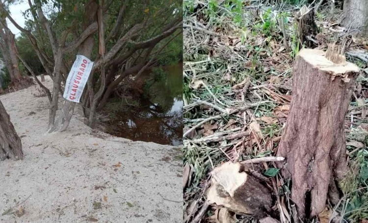 imagen-cuerpo imagen-cuerpo