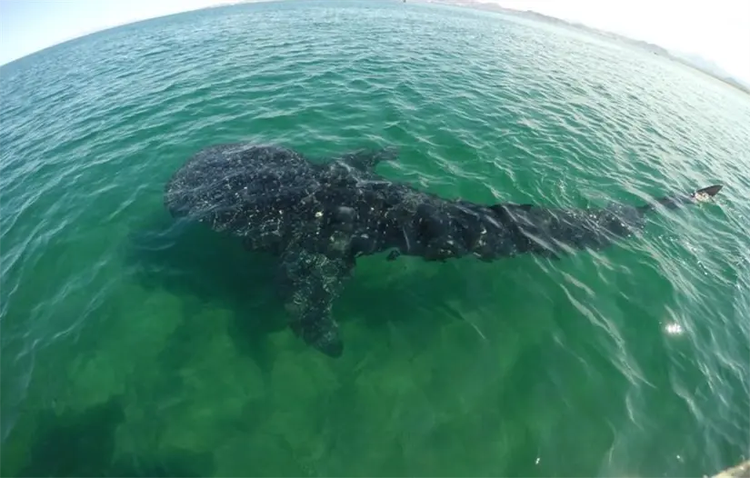 imagen recuadro Foto: TripAdvisor