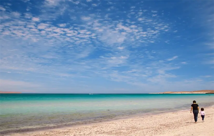 imagen recuadro Foto: Expedia.mx