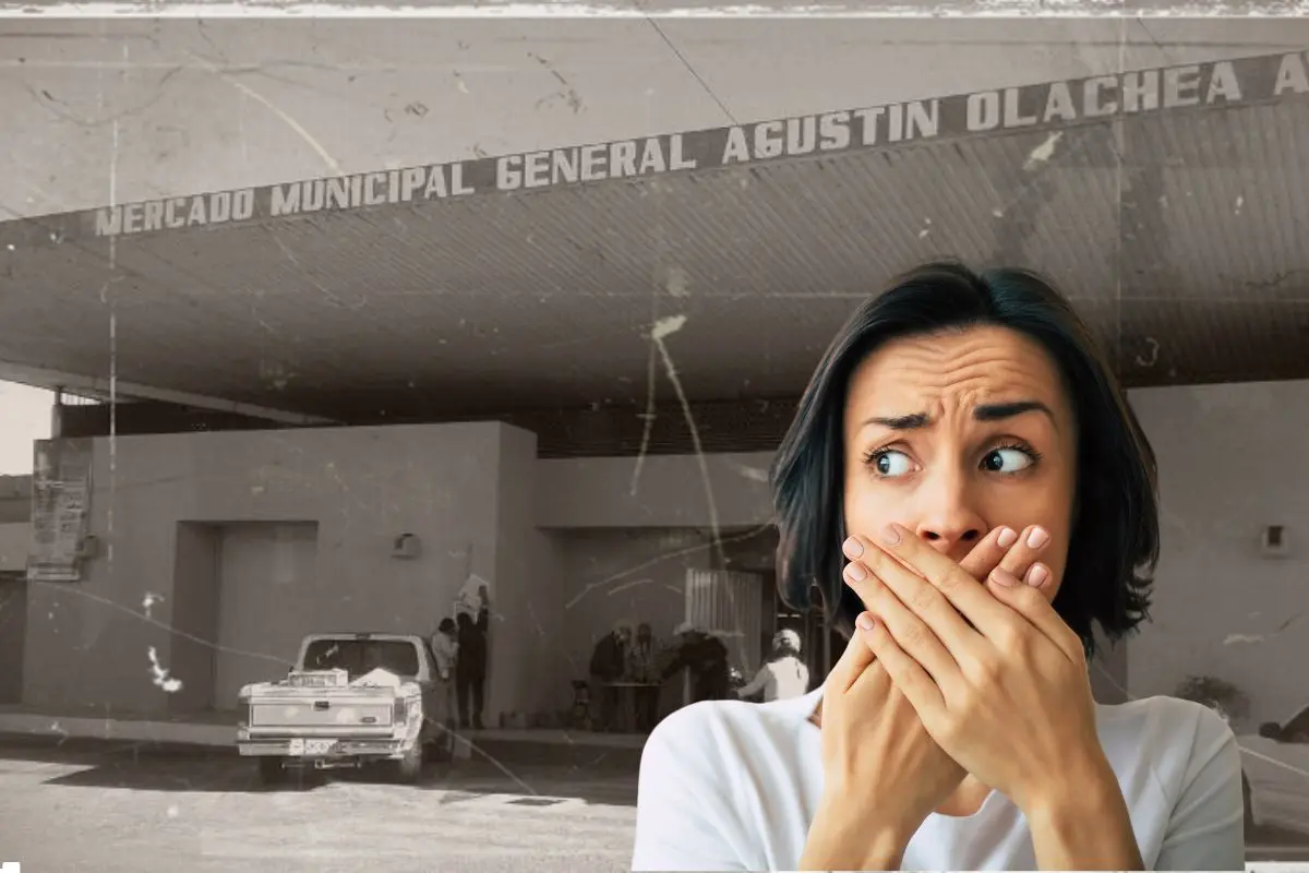 Foto: Sudcalifornios.com | Foto: Biblioteca Canva