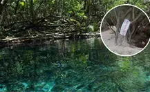 Profepa y Semarnat clausuran predio en Sisal por denuncias de devastación de manglares Profepa y Semarnat clausuran predio en Sisal por denuncias de devastación de manglares