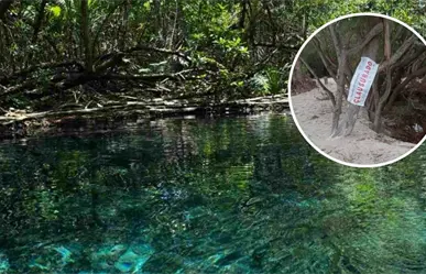 Profepa y Semarnat clausuran predio en Sisal por denuncias de devastación de manglares