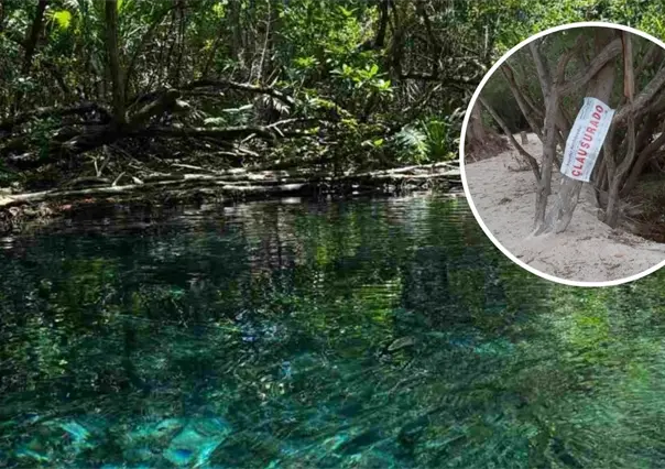 Profepa y Semarnat  clausuran predio en Sisal por denuncias de devastación de manglares