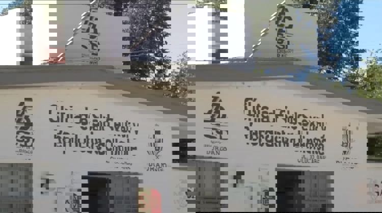 imagen-cuerpo imagen-cuerpo