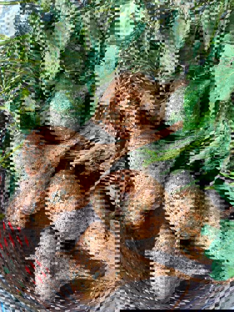 imagen-cuerpo imagen-cuerpo