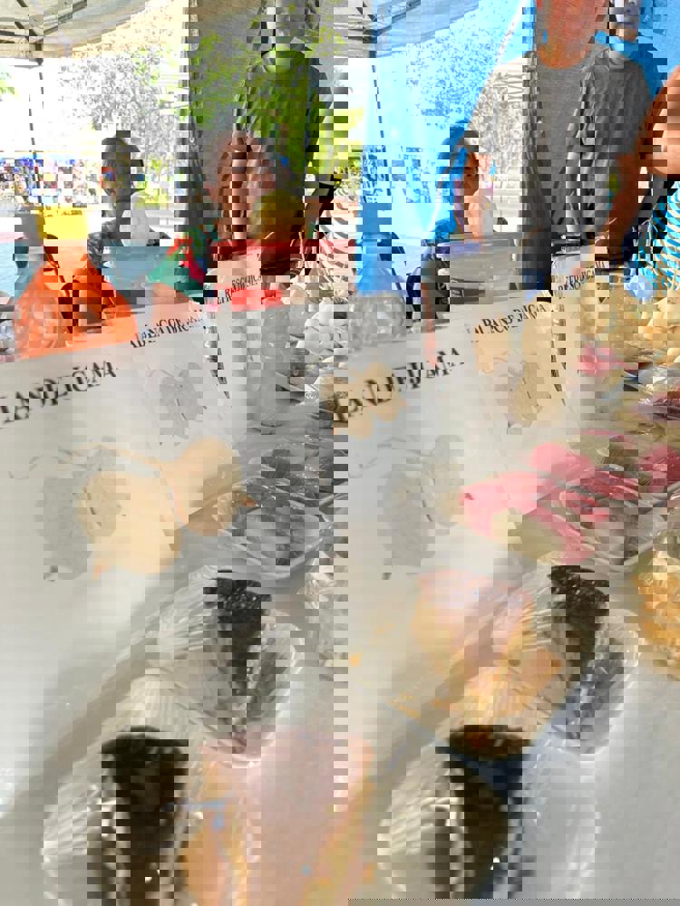 imagen-cuerpo imagen-cuerpo