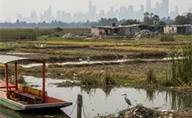 Los humedales de Xochimilco: el pulmón natural que se muere en CDMX Los humedales de Xochimilco: el pulmón natural que se muere en CDMX