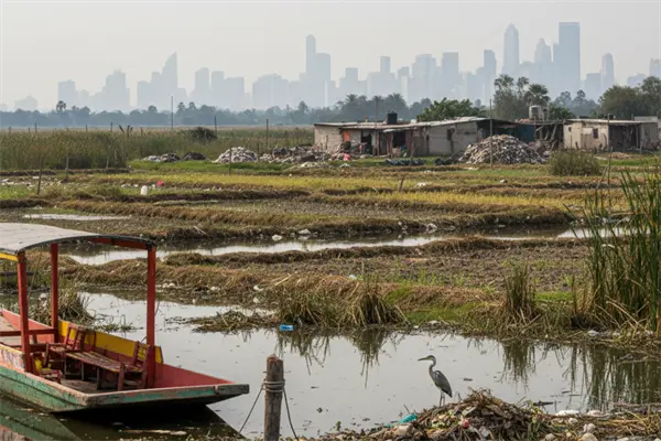 Los humedales de Xochimilco: el pulmón natural que se muere en CDMX Los humedales de Xochimilco: el pulmón natural que se muere en CDMX