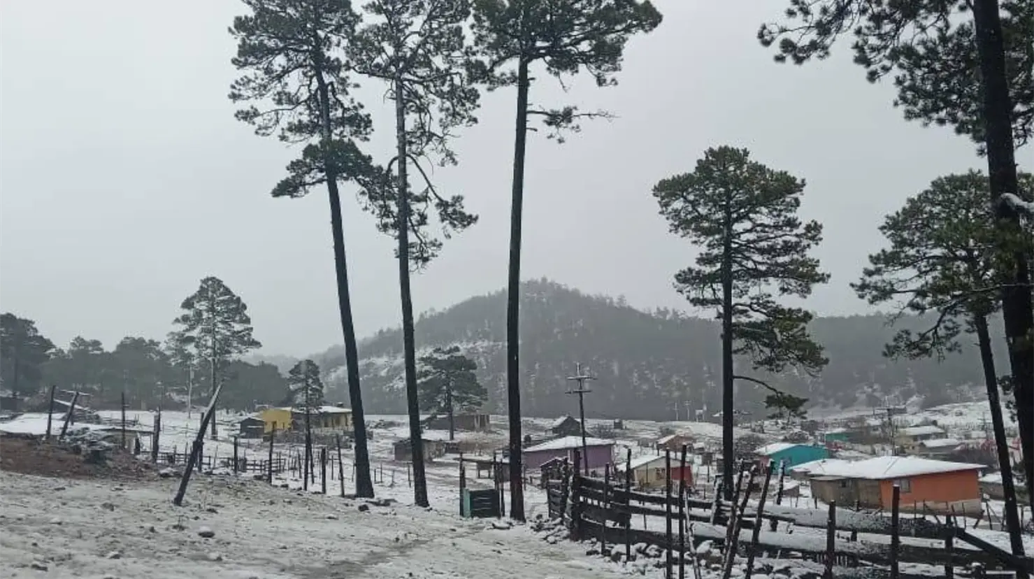 Se espera la caída de agua nieve y nieve en algunas zonas de la sierra de Durango. Foto: FB La Rosilla Guanaceví Dgo.