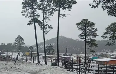 Frente Frío 15 llegará a Durango y podría dejar mucho más que frío y lluvia